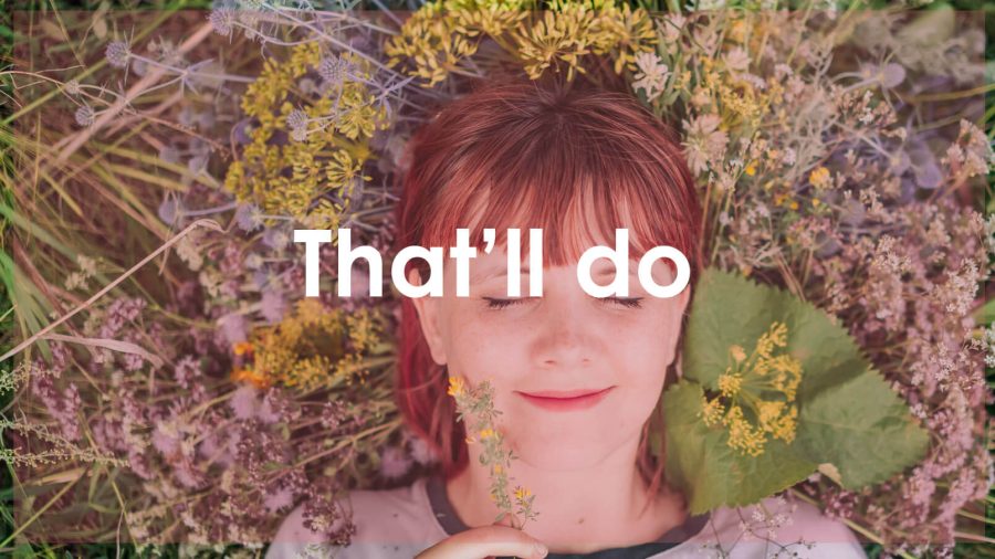 ThatllDo-Header