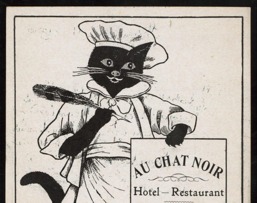 cat1
