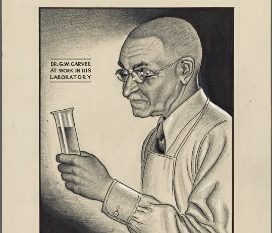 drcarver