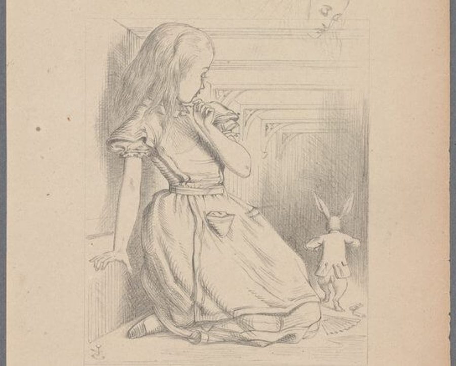 nypl.digitalcollections.00c47580-a0ce-0132-6b2a-58d385a7bbd0.001.w