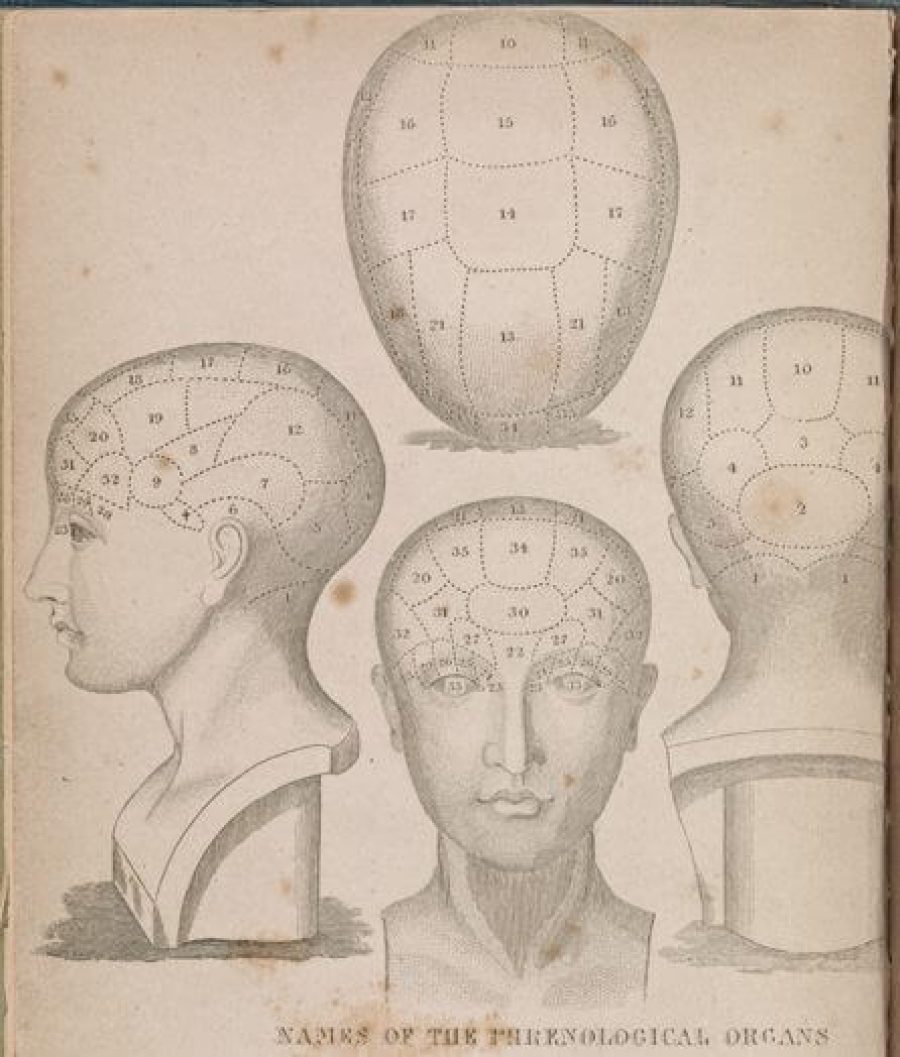 nypl.digitalcollections.19d126b0-1b46-0132-47c4-58d385a7bbd0.001.w