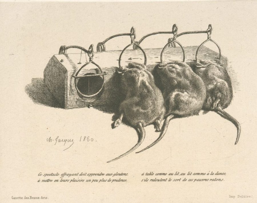 nypl.digitalcollections.510d47dd-ffb8-a3d9-e040-e00a18064a99.001.q